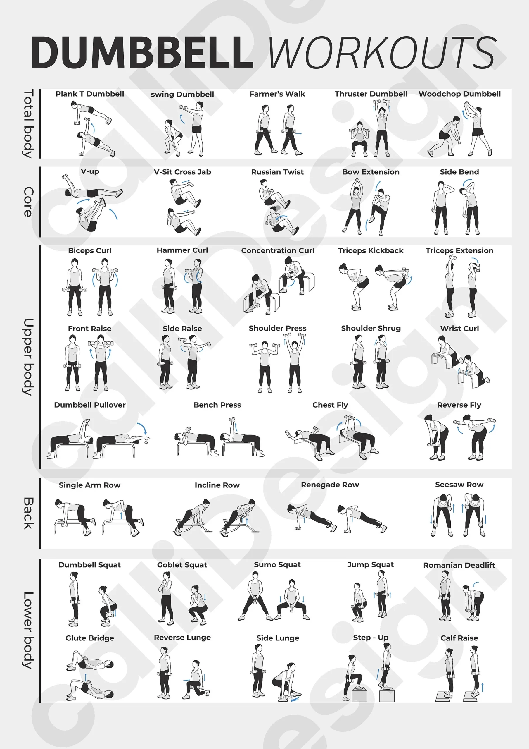 38 Types Of Dumbbell Exercise Illustrations And 1 Type Of Poster 