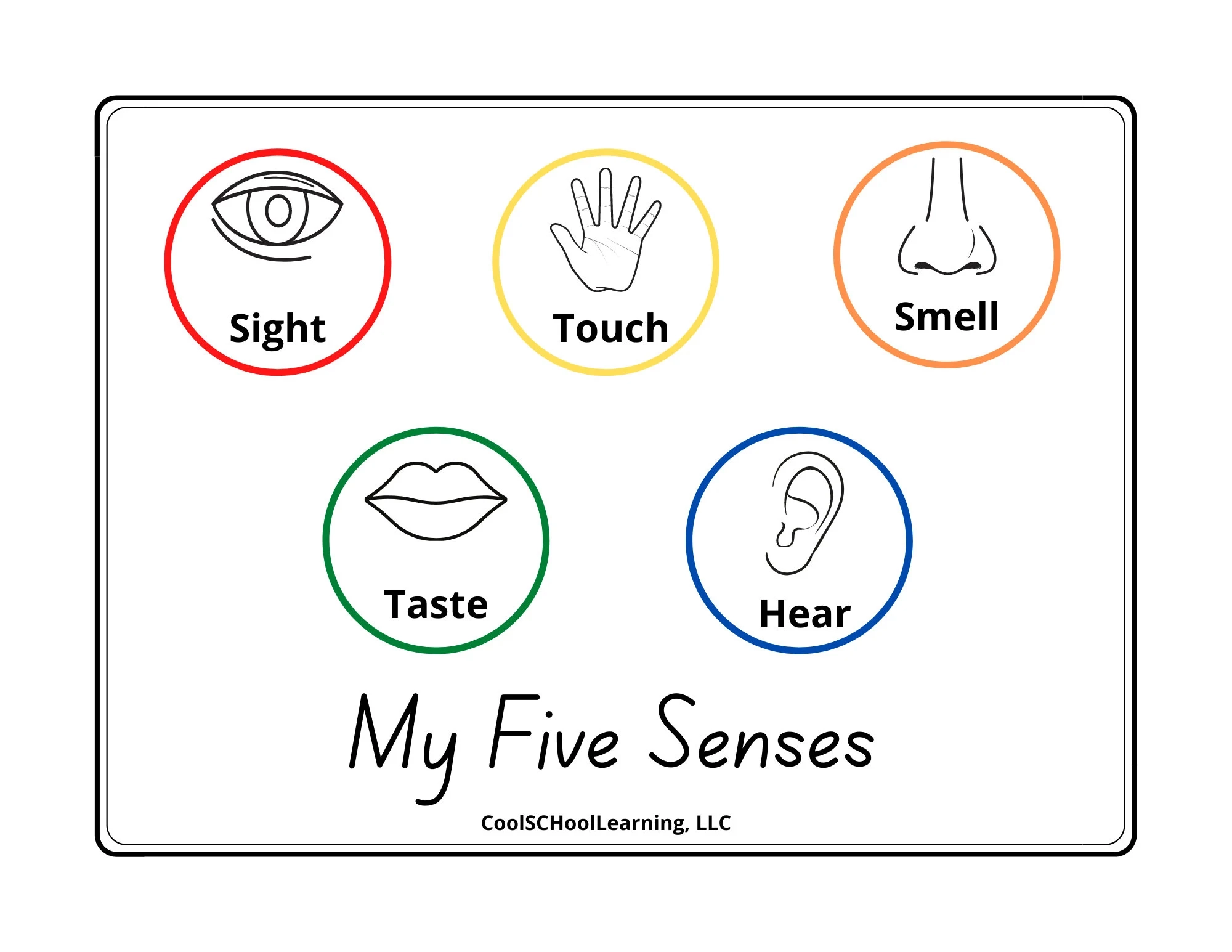 5 Senses Printable Vorschulposter Kindergarten Bereitschaft 