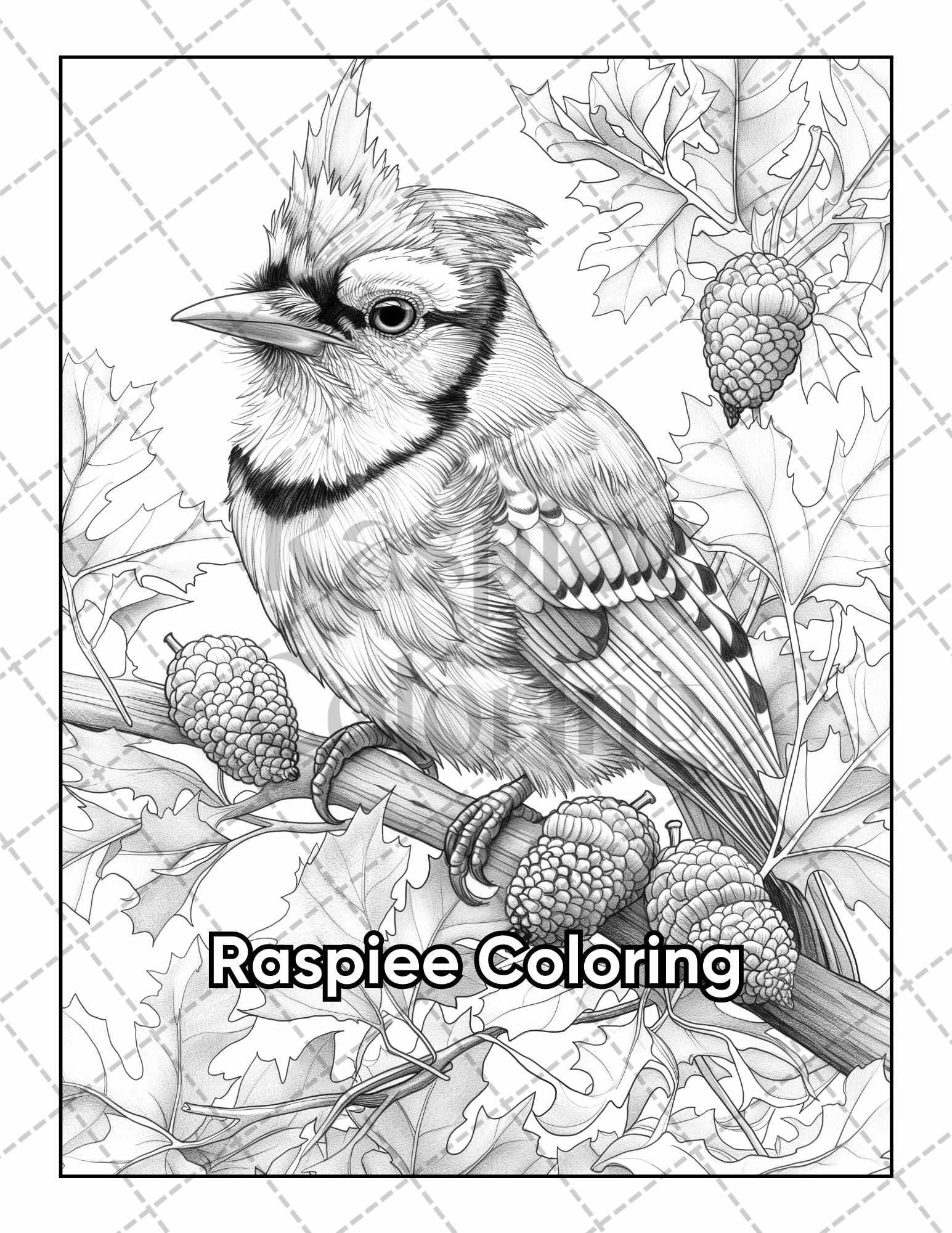 Bird Coloring Book Printable