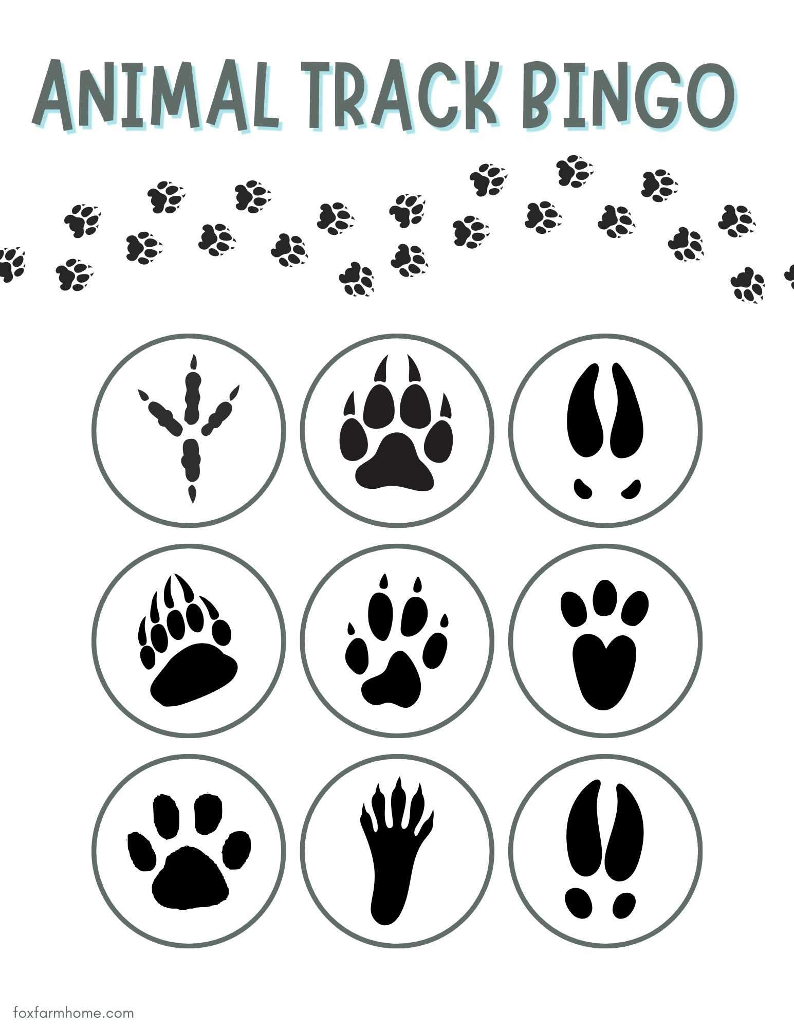 Animal Tracks Printable