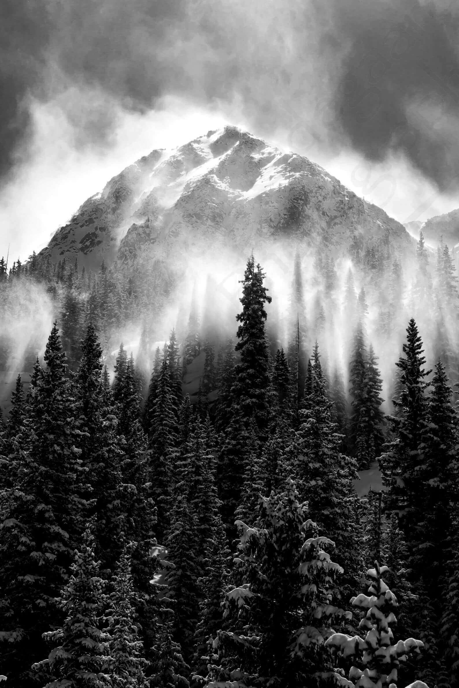 Black And White Pictures Where To Find Amazing Pics amp Prints
