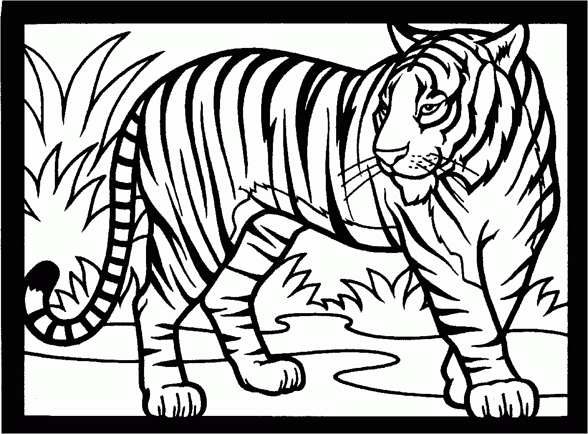 Coloring Pages Out Of Africa Wildlife Park amp Sanctuary