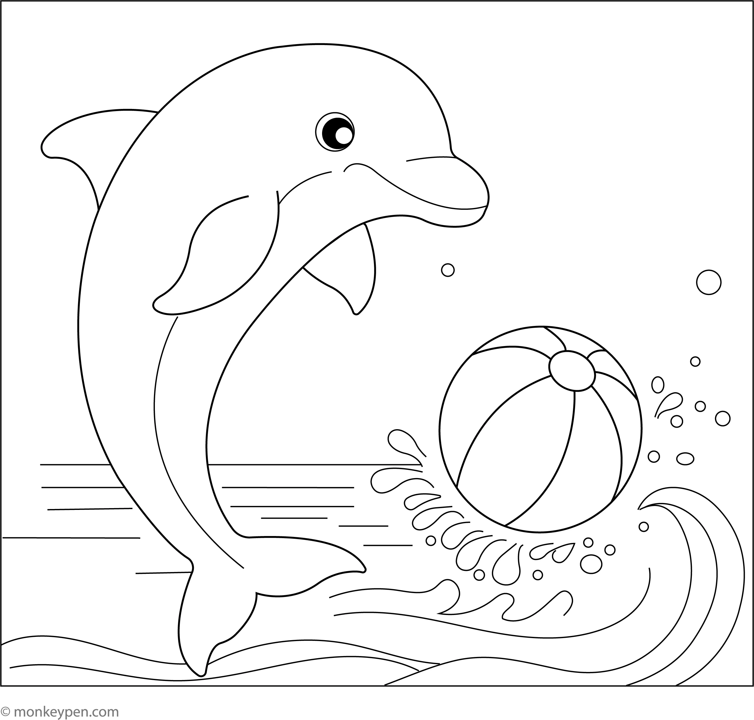 Dolphin With A Beach Ball