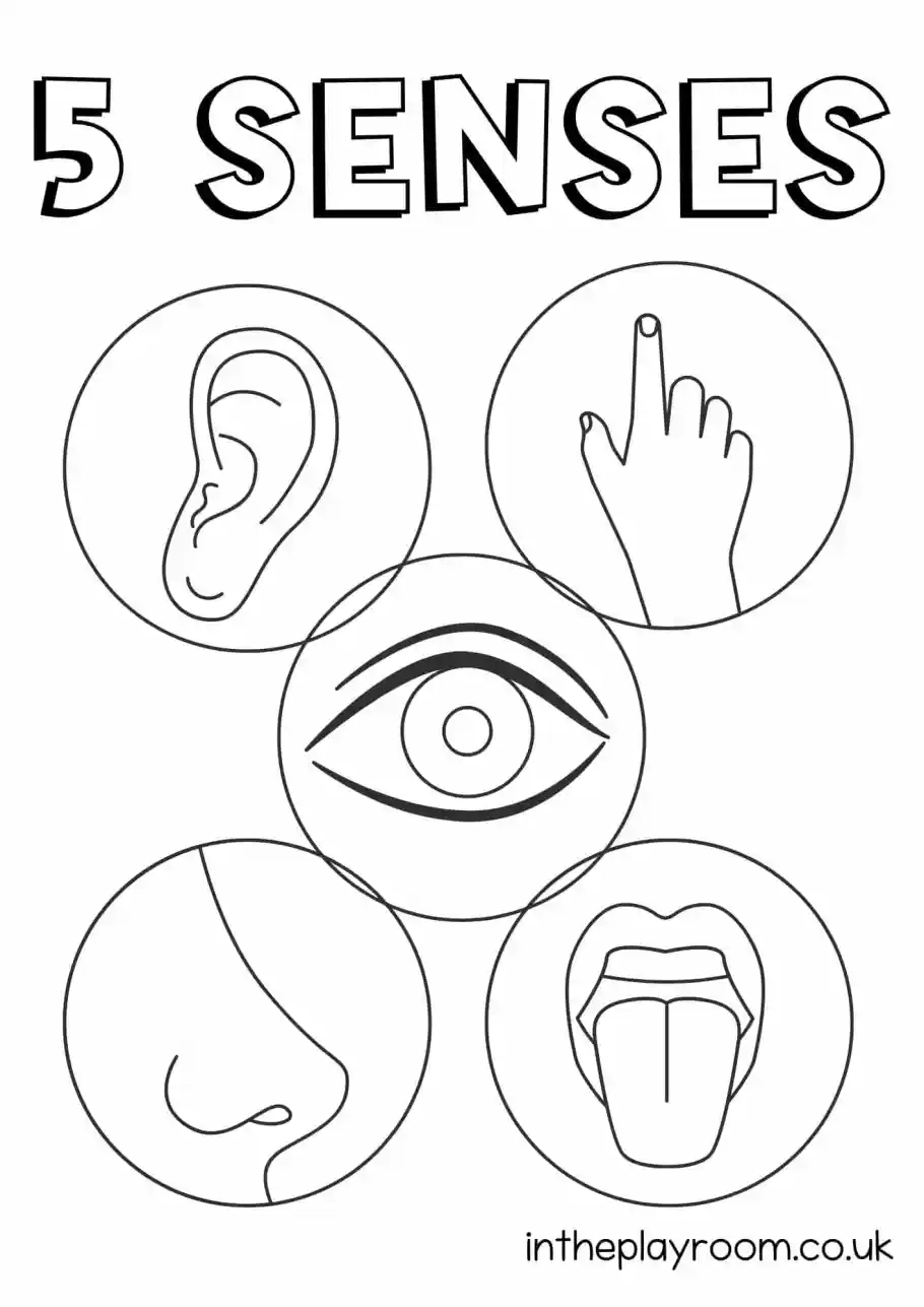 5 Senses Printable
