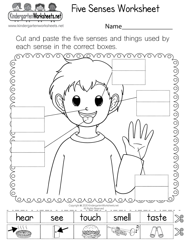 Five Senses Printable