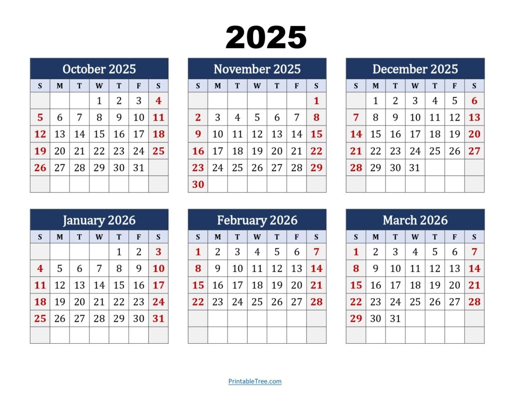 6 Month Printable Calendar 2026