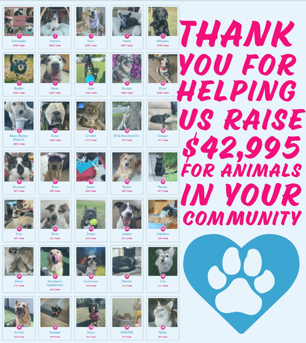 Paw Prints Calendar Contest Pre Order Leon County Humane Society