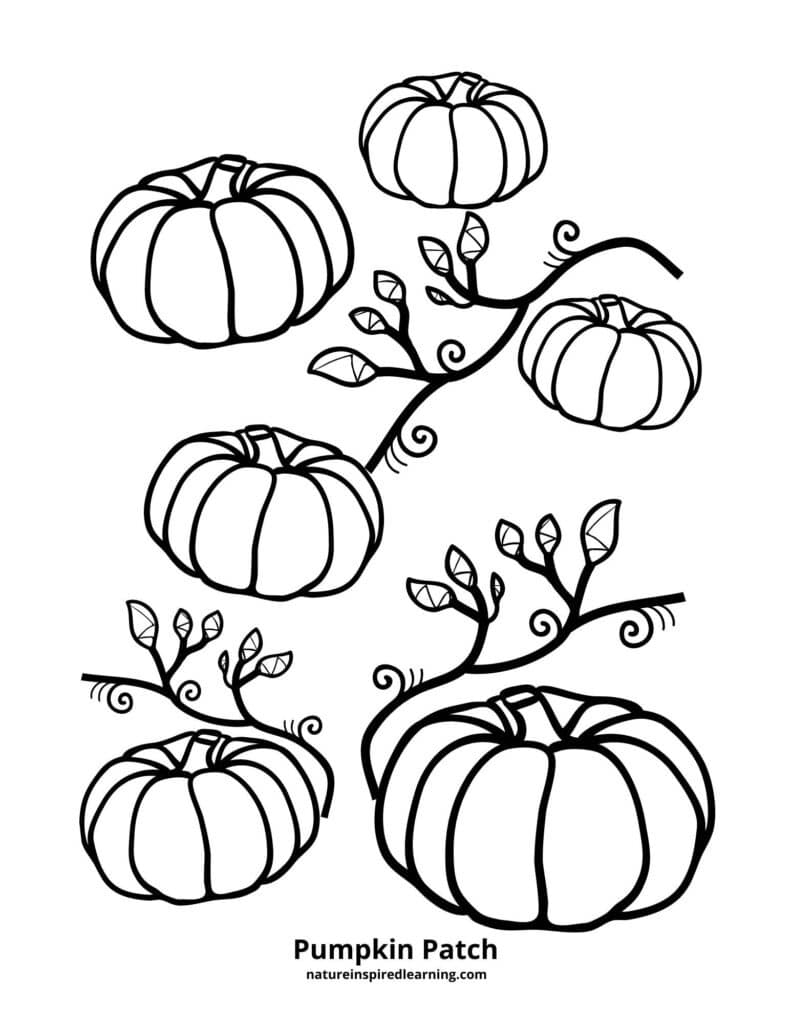 Pumpkin Coloring Pages Nature Inspired Learning