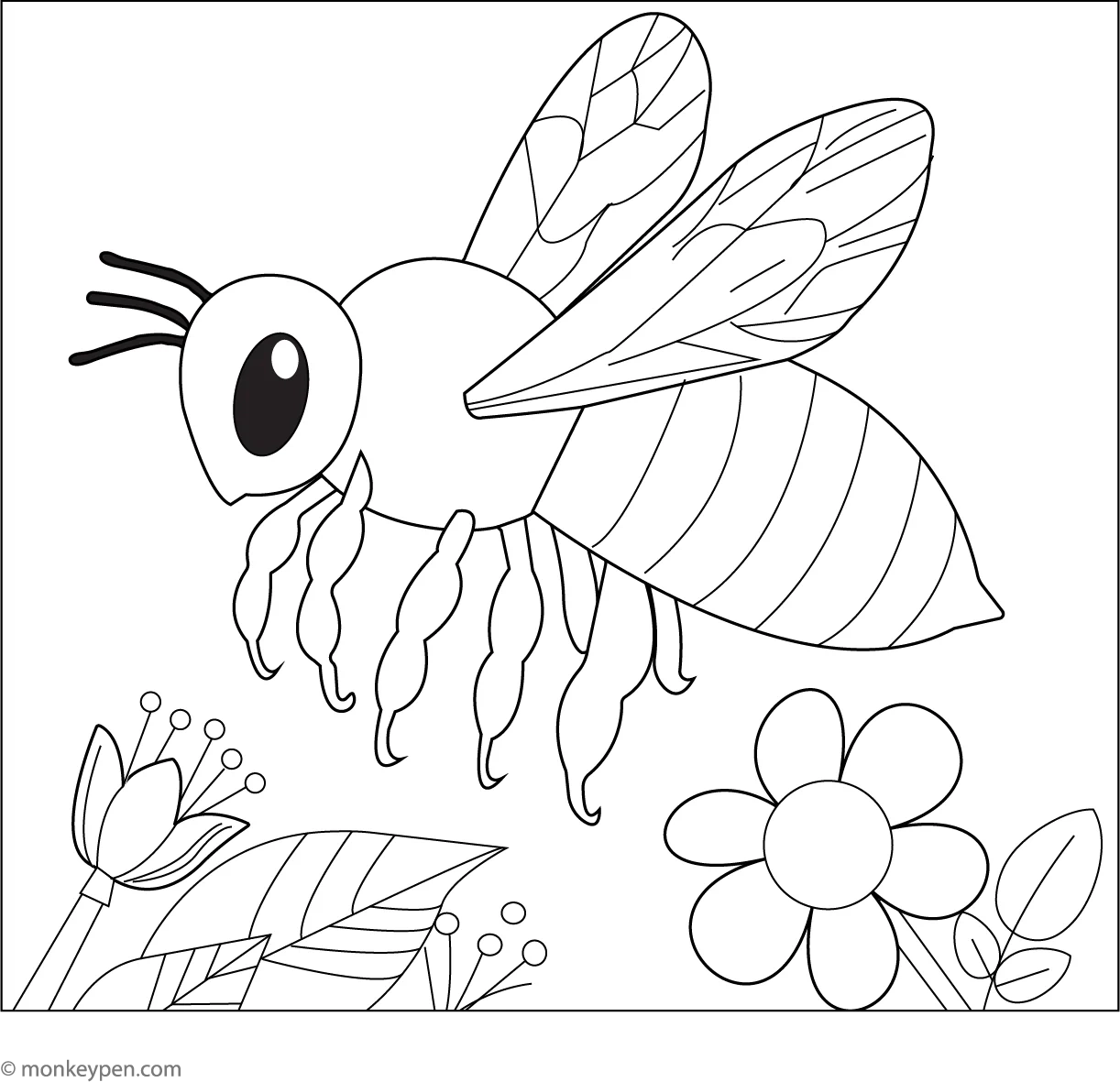 Realistic Bee Coloring Page Fun And Educational Printable For Kids