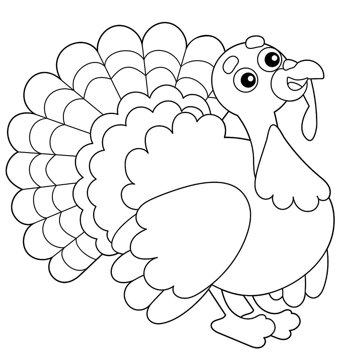 Printable Turkey Pictures To Color