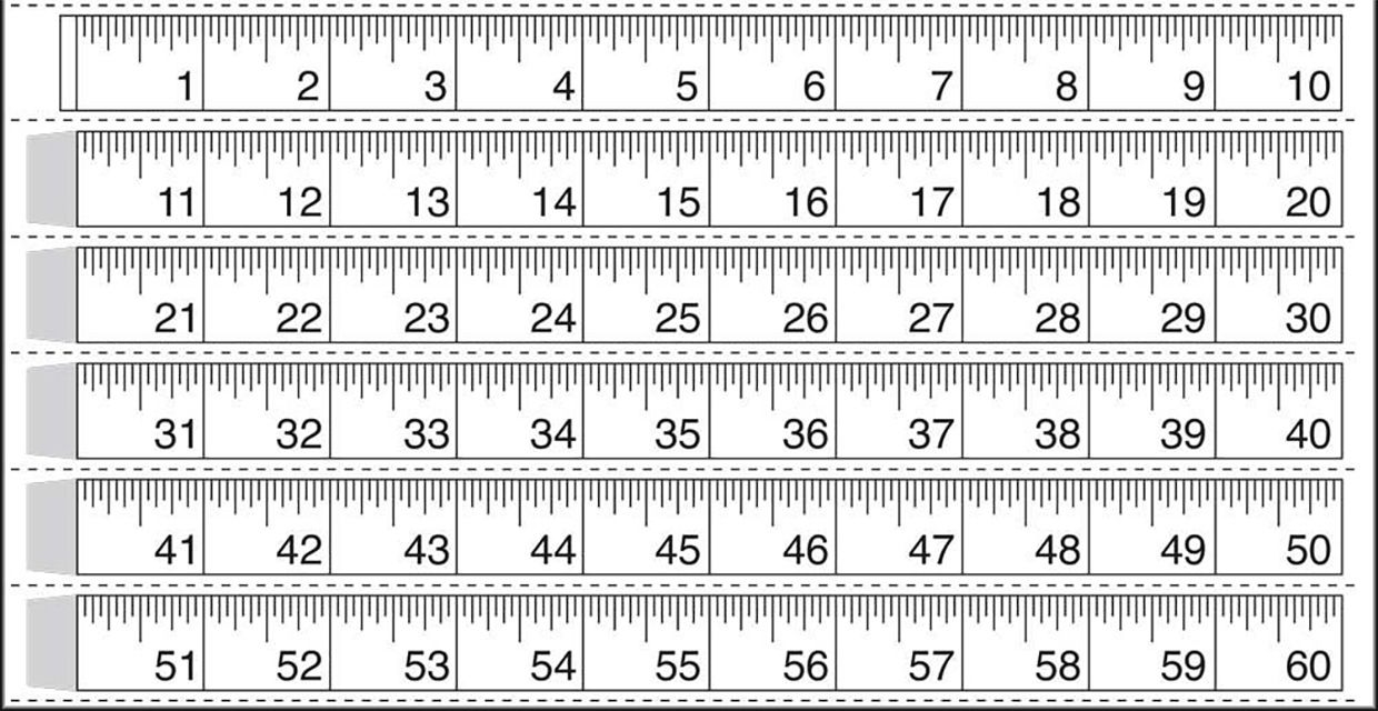 10 Sets Of Free Printable Rulers When You Need One Fast 