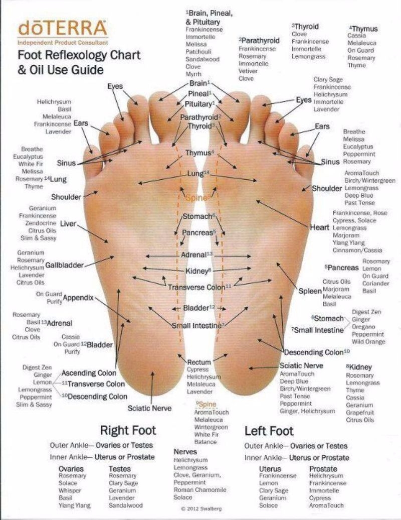 31 Printable Foot Reflexology Charts amp Maps TemplateLab
