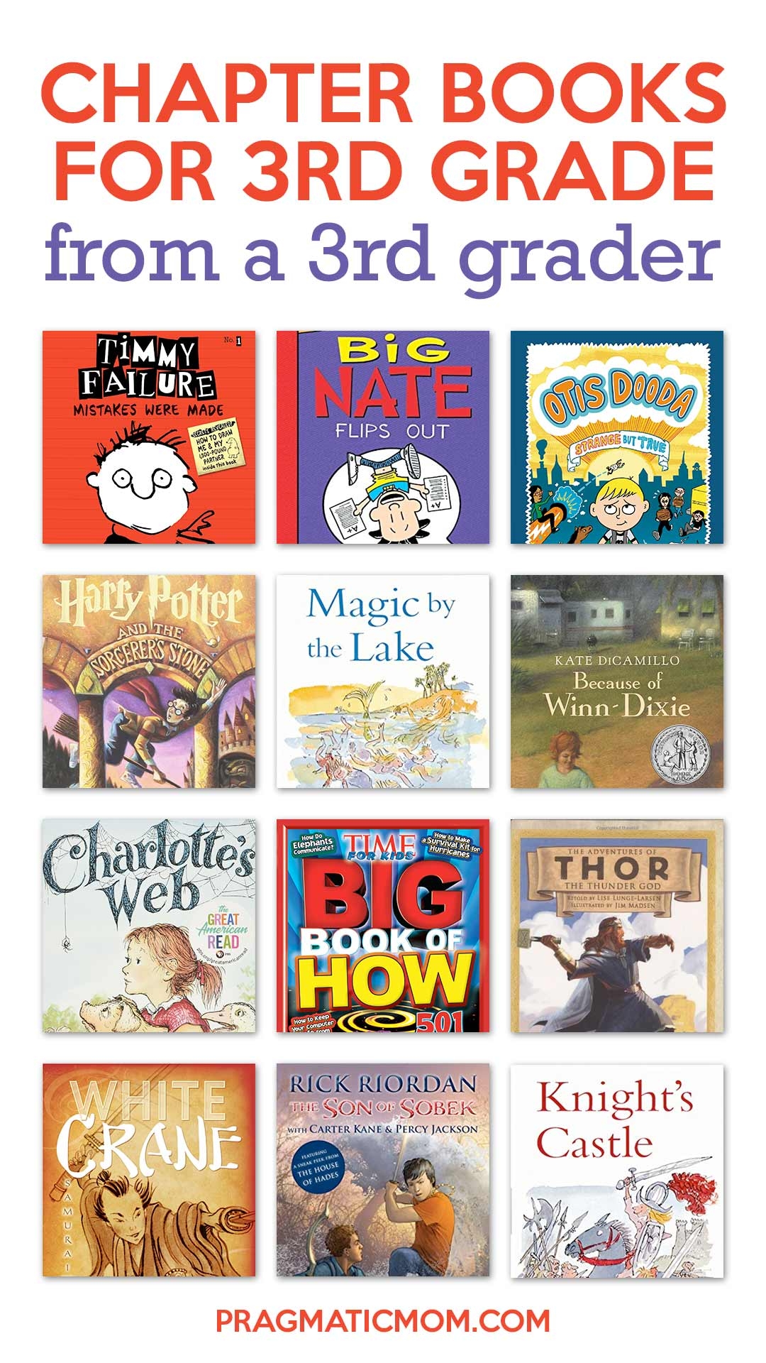 3rd Grade Chapter Books From A 3rd Grade Boy