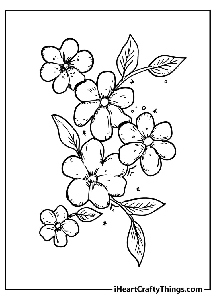 Coloring Pages Of Flowers Printable