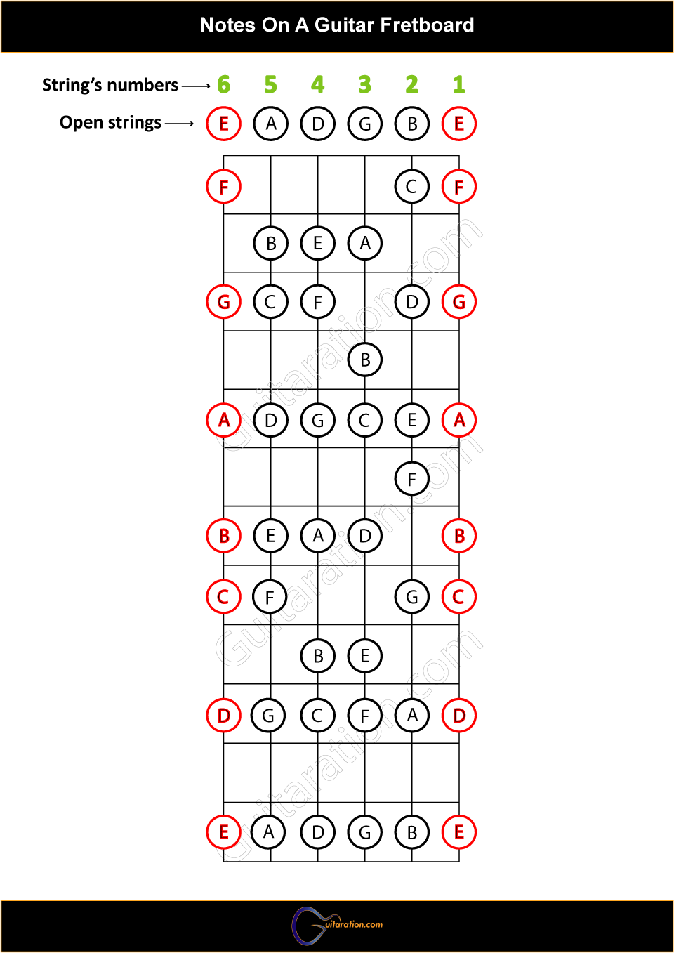 A Helpful Illustrated Guitar Fretboard Notes Guide 