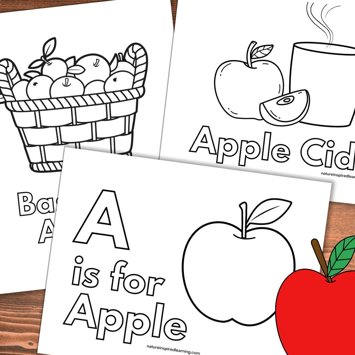 Apple Coloring Sheet Printable