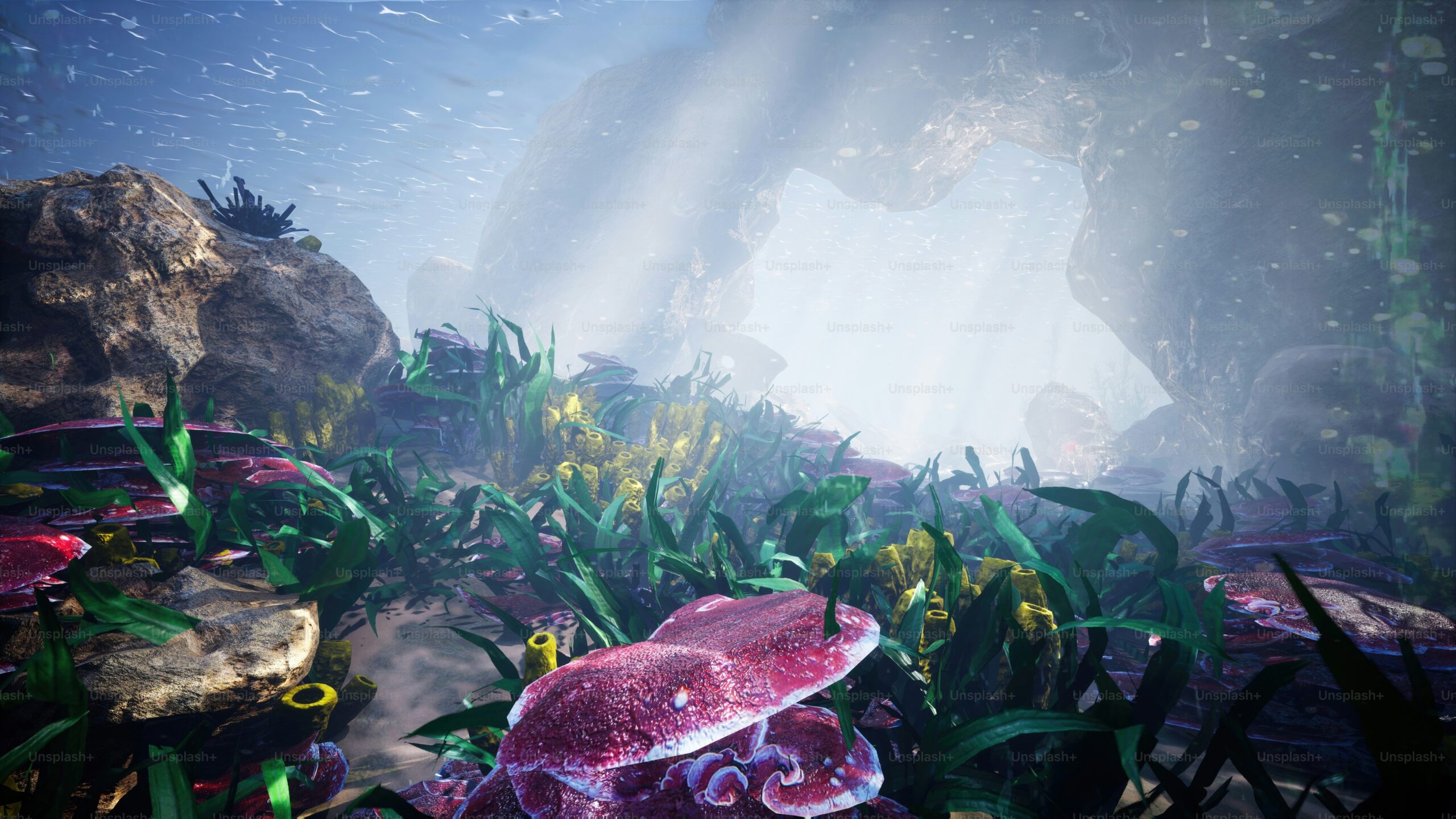 Aquarium Background Images 900 Free Images On Unsplash