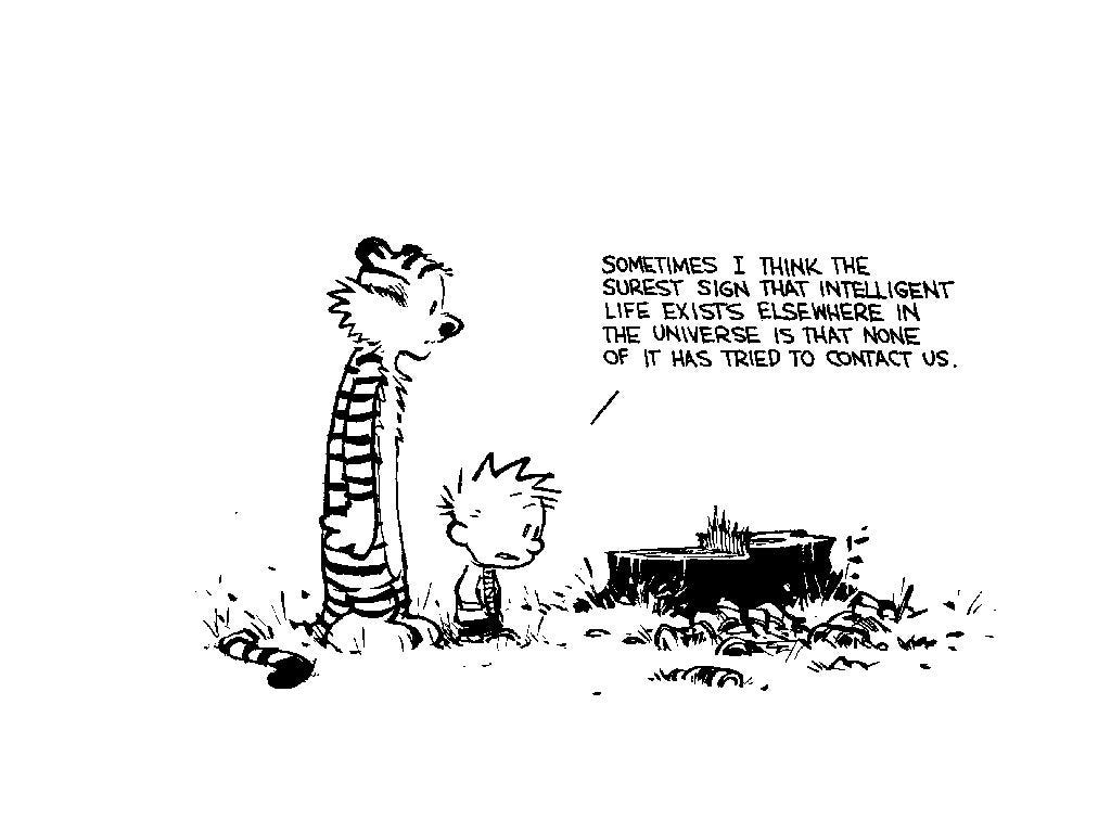 Calvin And Hobbes The Best Comic Strip Ever By The Retro Store 
