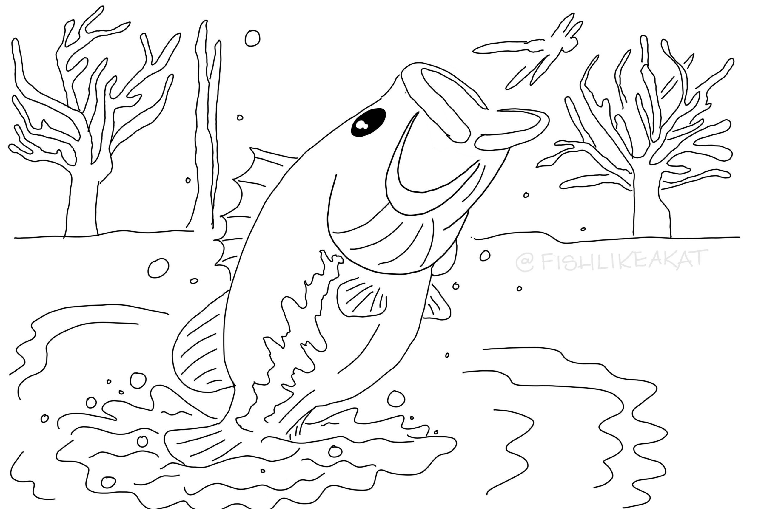 Chillax amp Color Free Fishing Coloring Pages