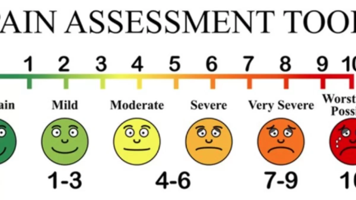 Printable Pain Chart