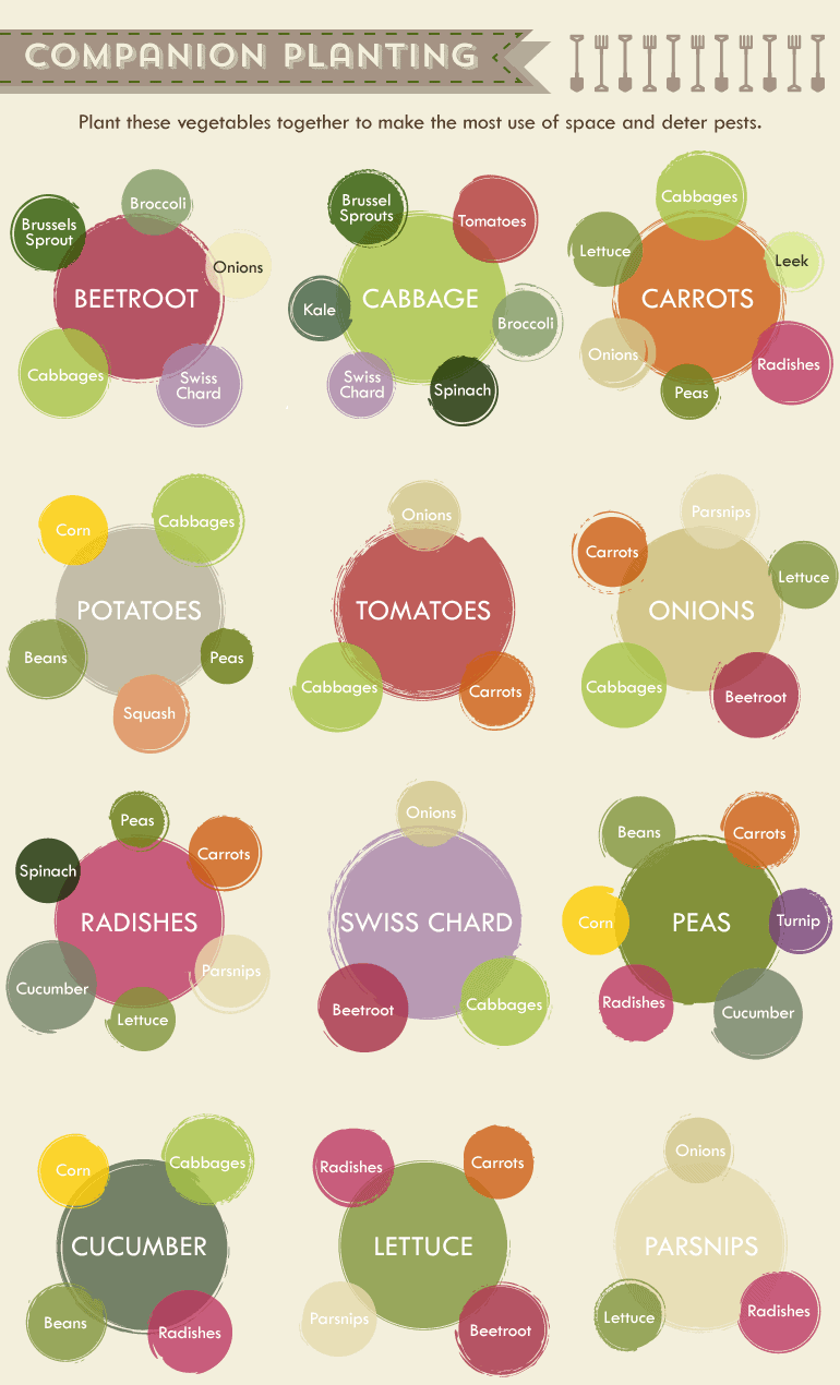 Collection Of Companion Planting Charts Guides And PDFs World 