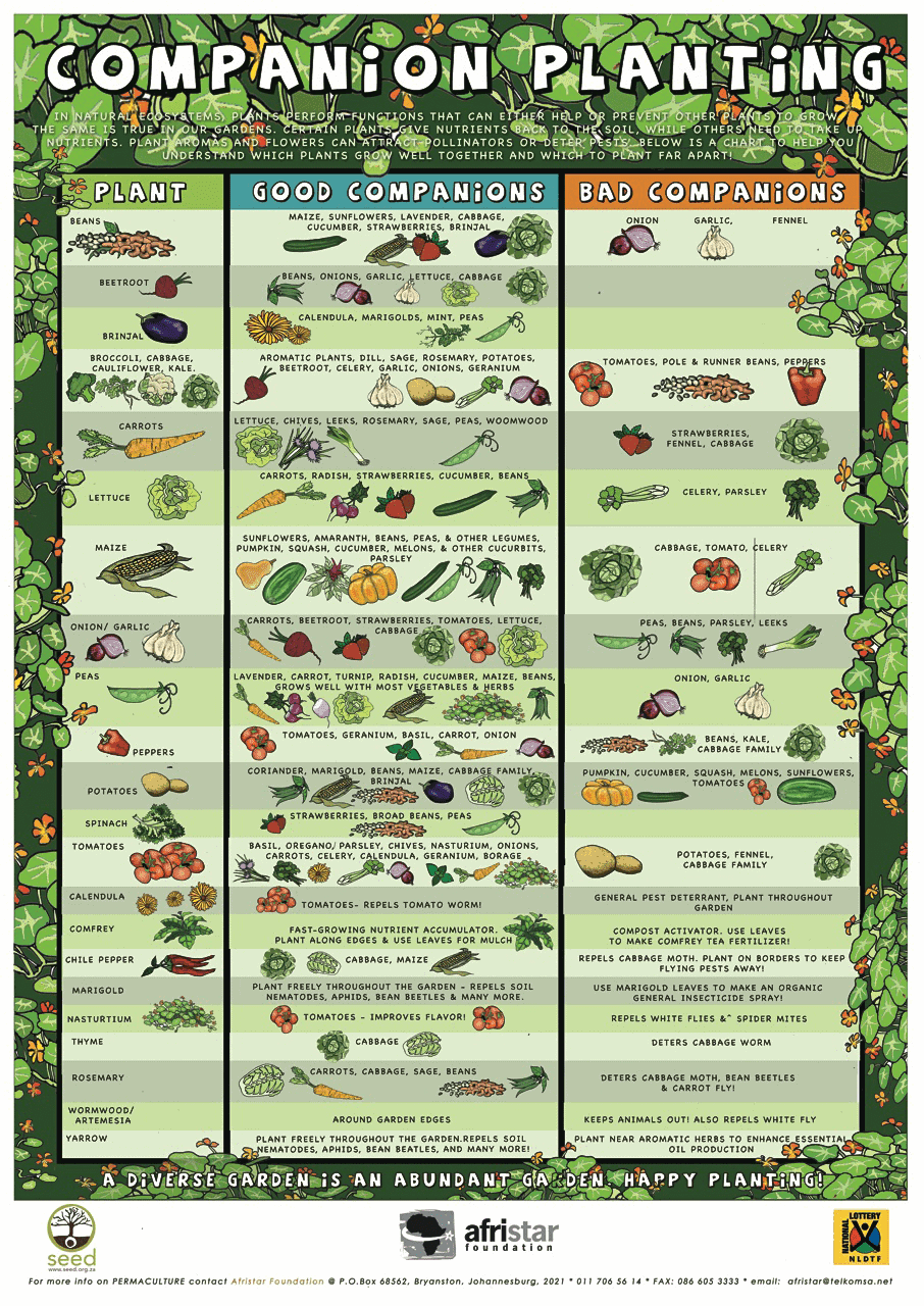 Collection Of Companion Planting Charts Guides And PDFs World 