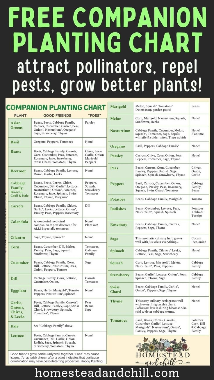 Companion Planting Chart Free Printable Garden Companion 