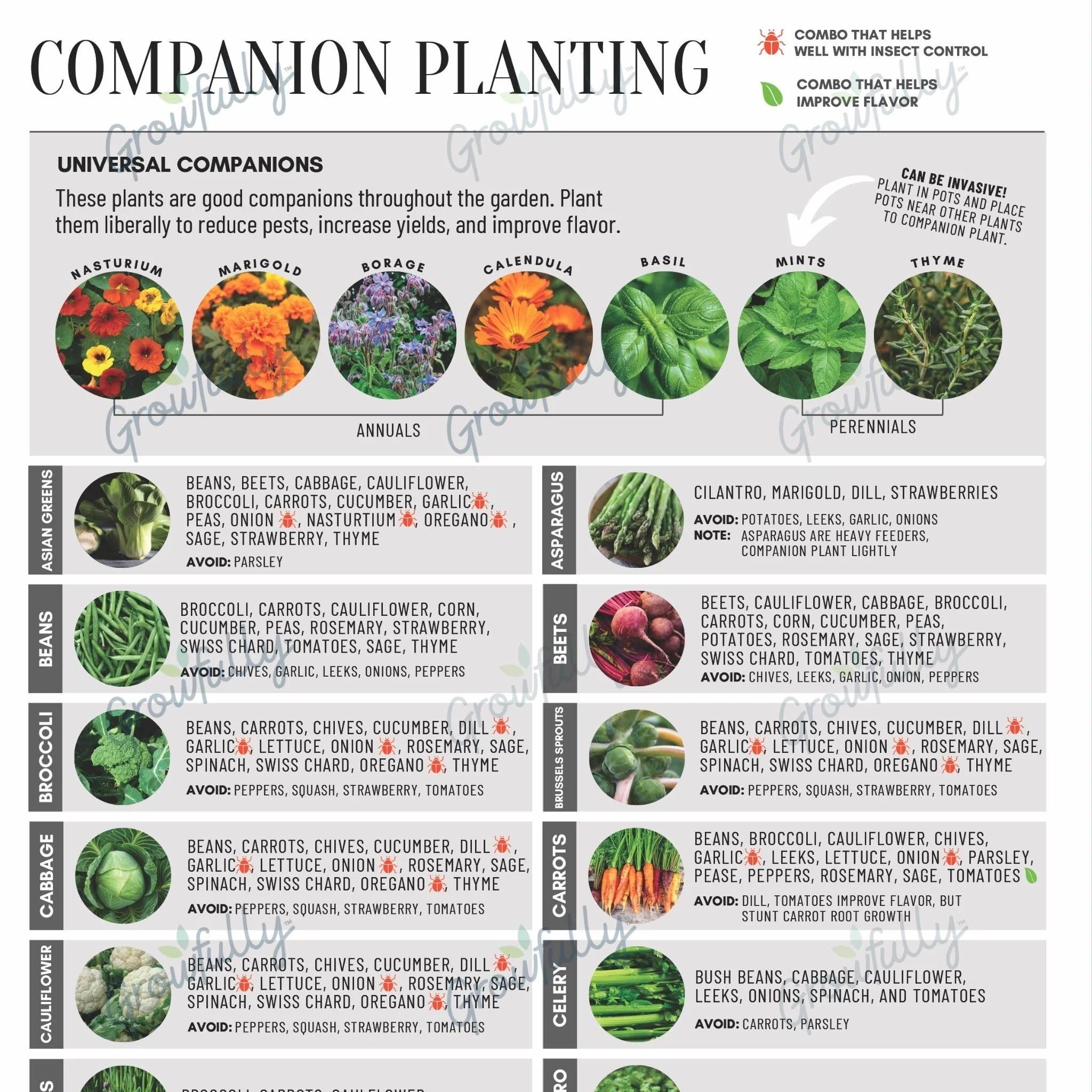 Companion Planting Chart Printable