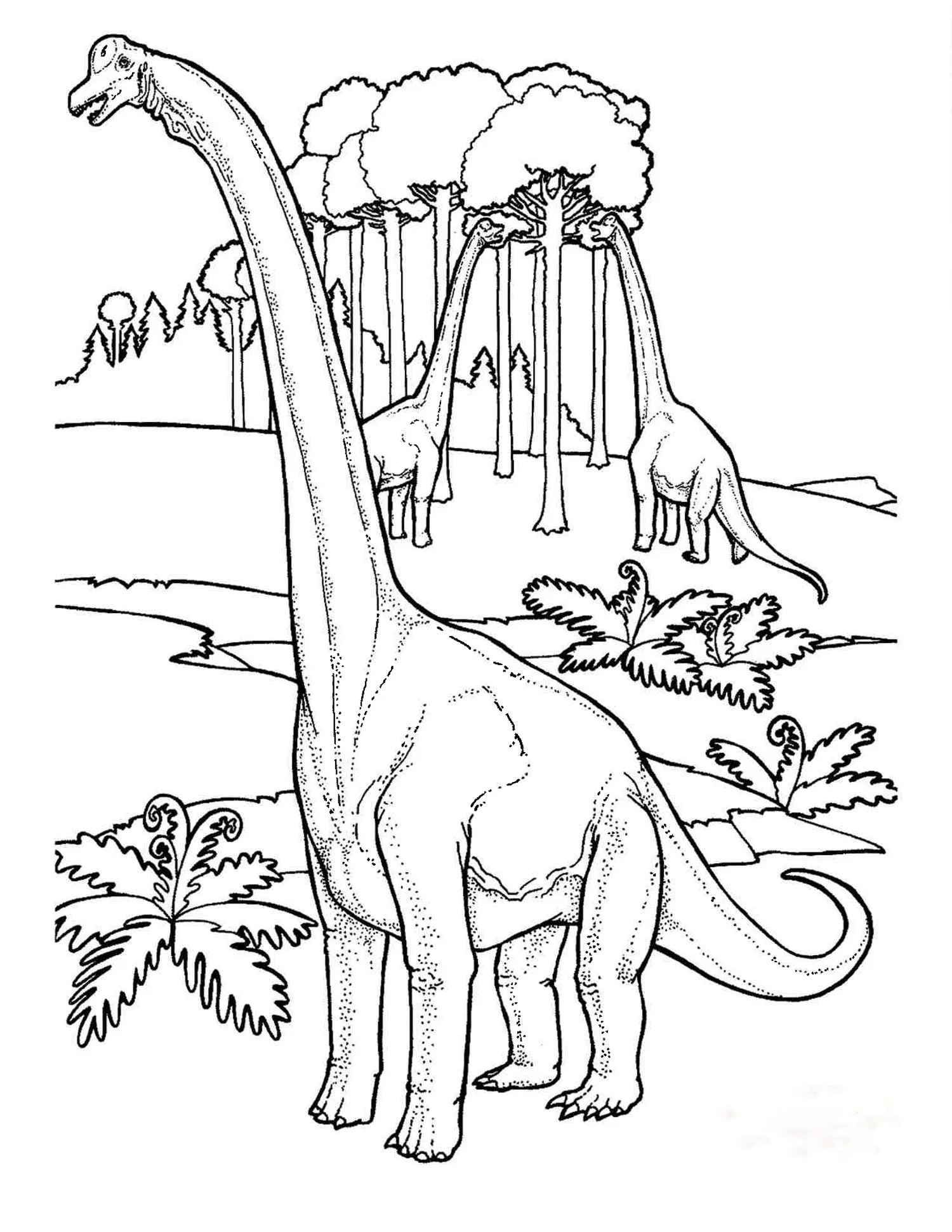 Dinosaur Coloring Sheets Seattle s Favorite Garden Store Since 