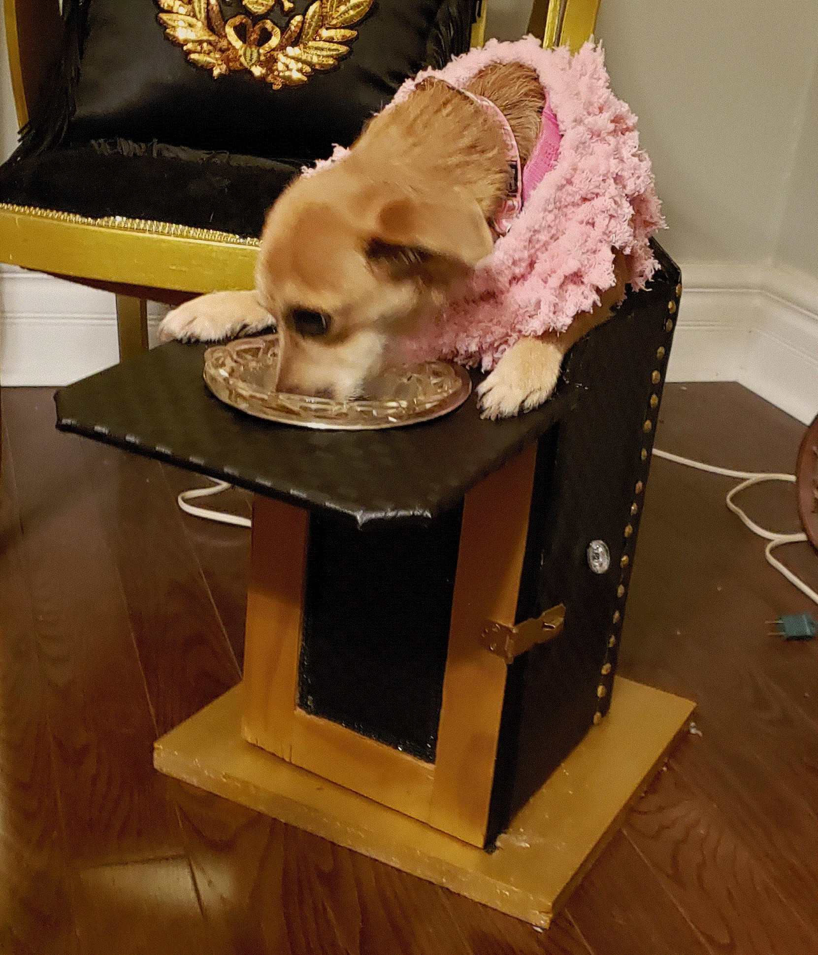 Dog Bailey Chair Printable Plans