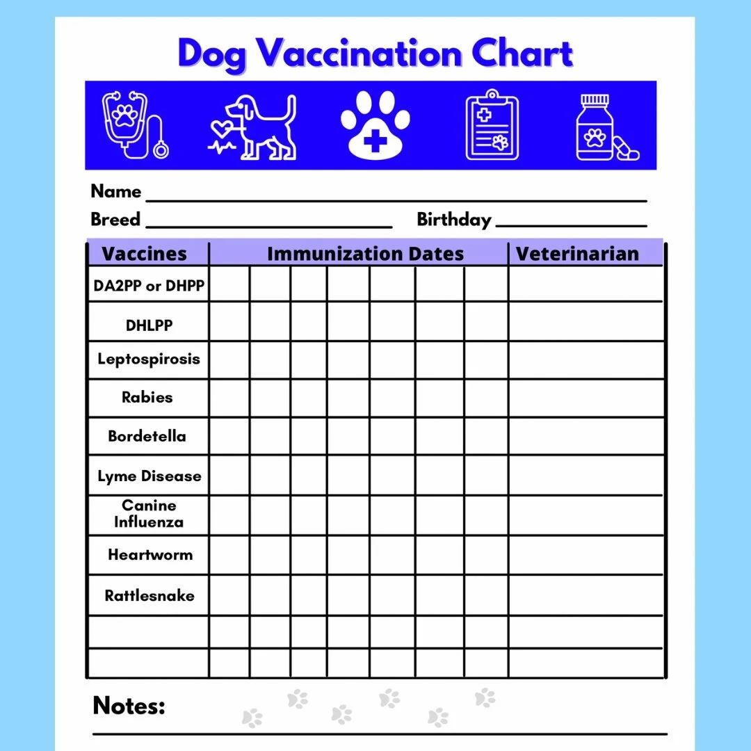 Dog Vaccine Printable Pet Printable Immunization Puppy 