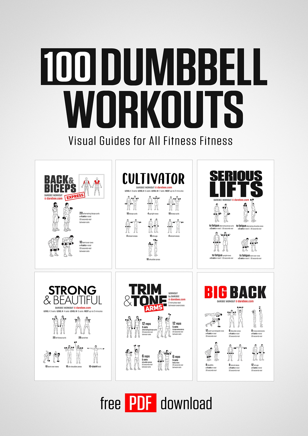 Printable Dumbbell Workout Plan Pdf