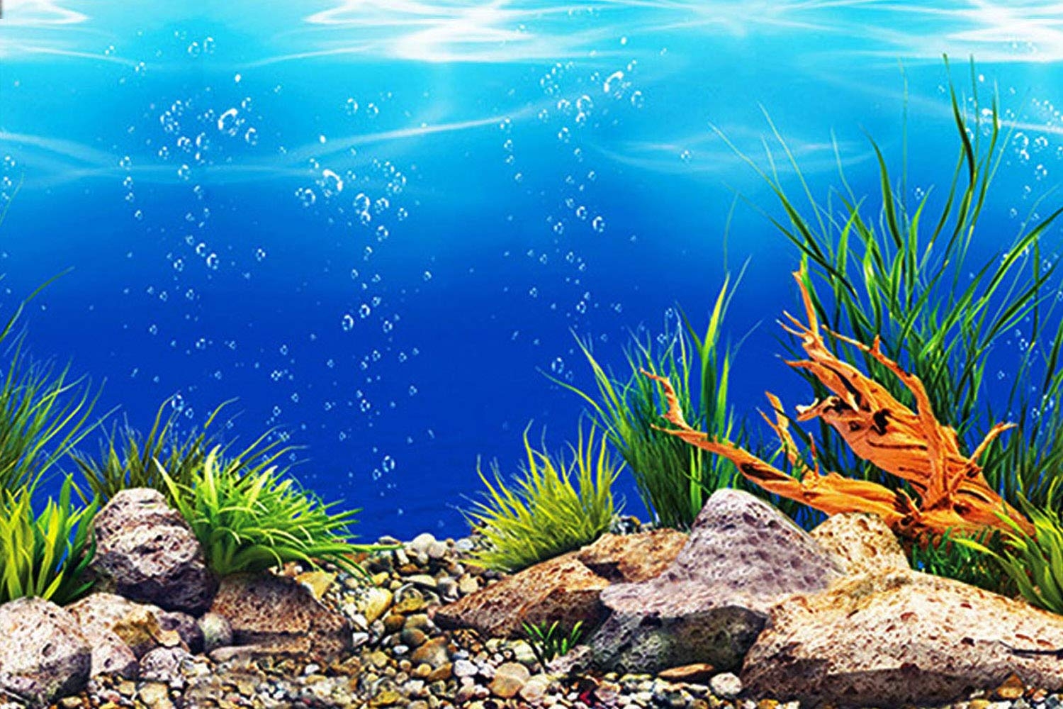 Free Printable Fish Tank Background