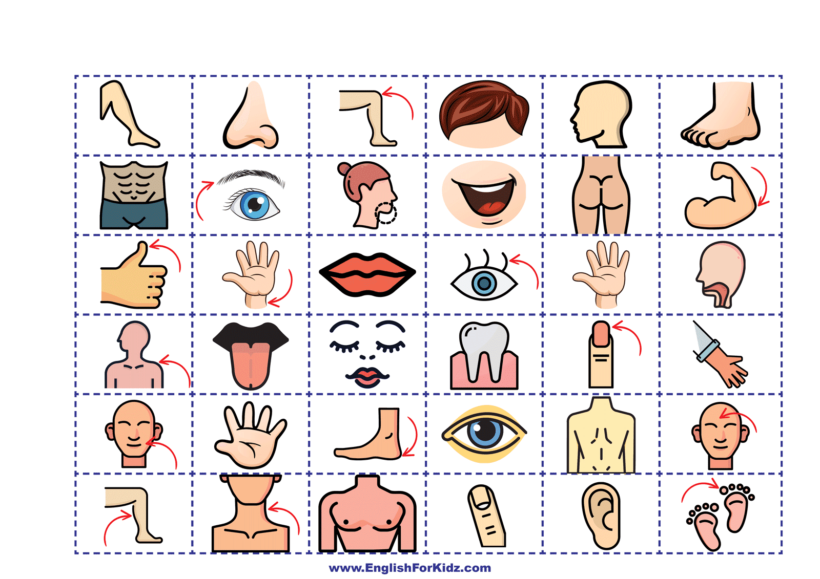 English For Kids Step By Step Parts Of The Body Printable Board 