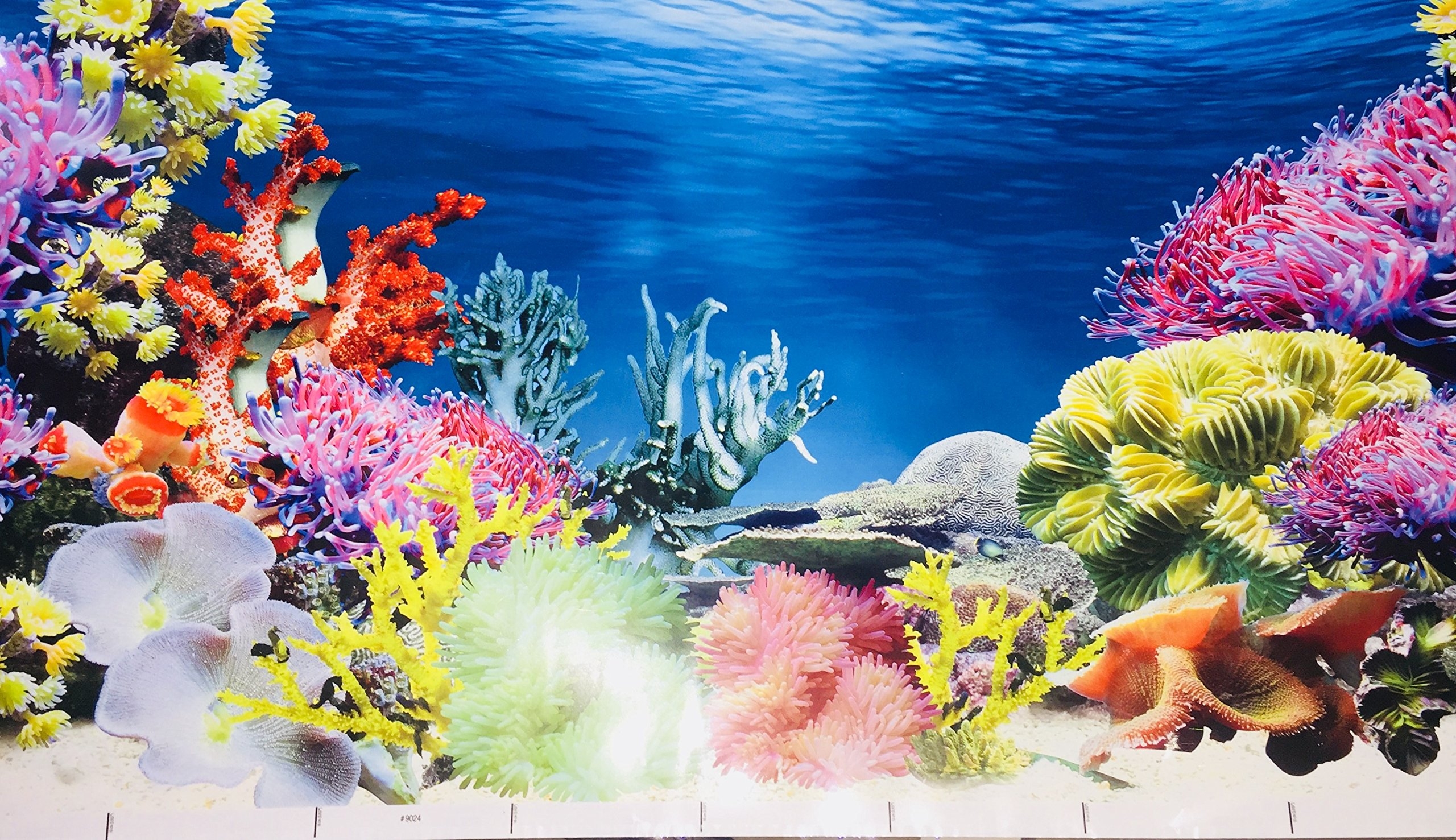 Fish Tank Background Aquarium Backgrounds Download Free Aquarium 
