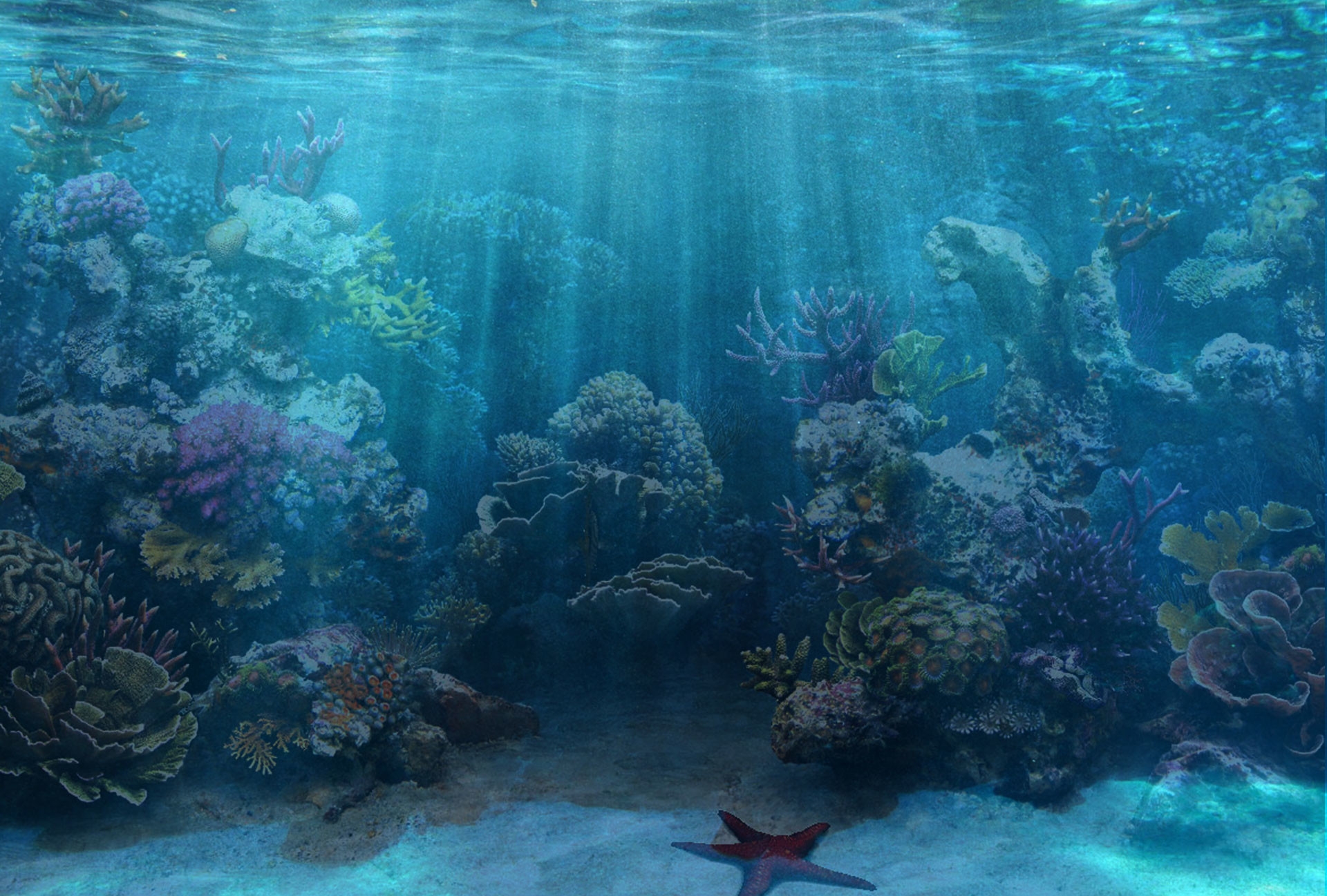 Fish Tank Background Underwater Aquarium Background 27 6x11 8 