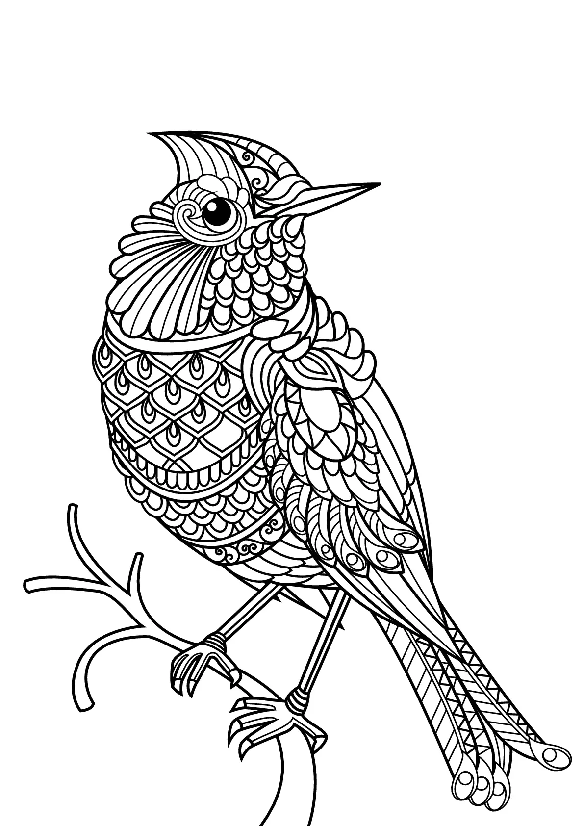 Coloring Pages Birds Printable