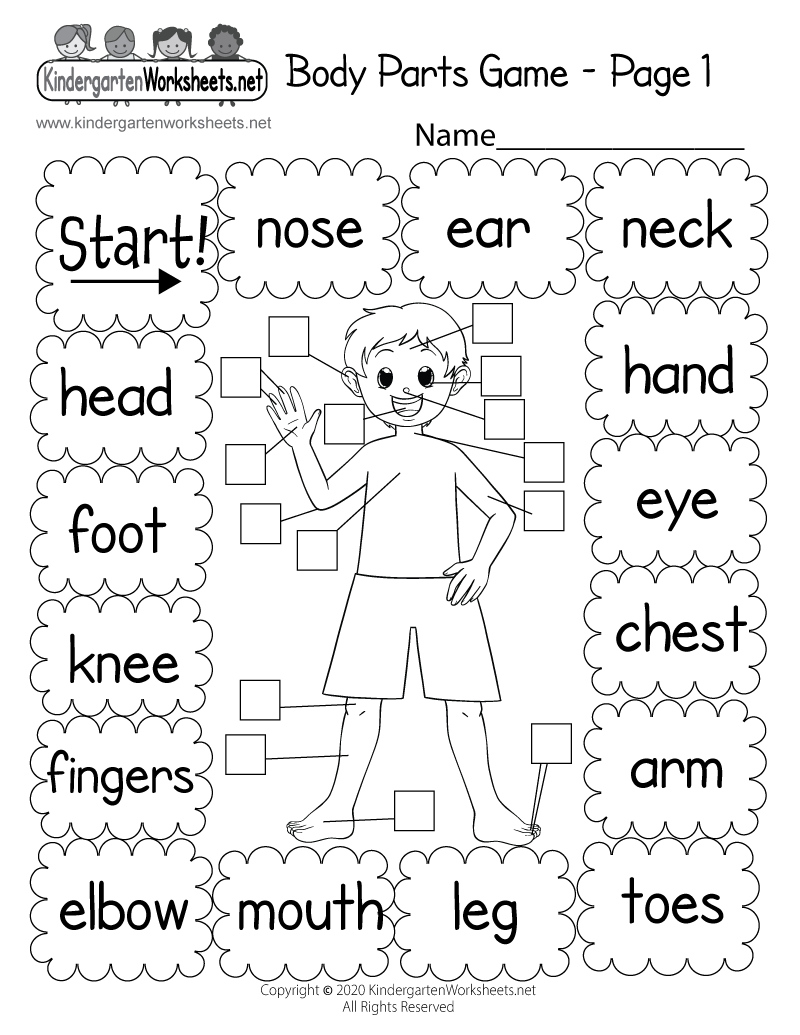 Printable Body Parts