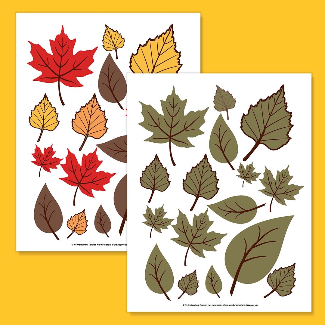 Colorful Leaves Printable