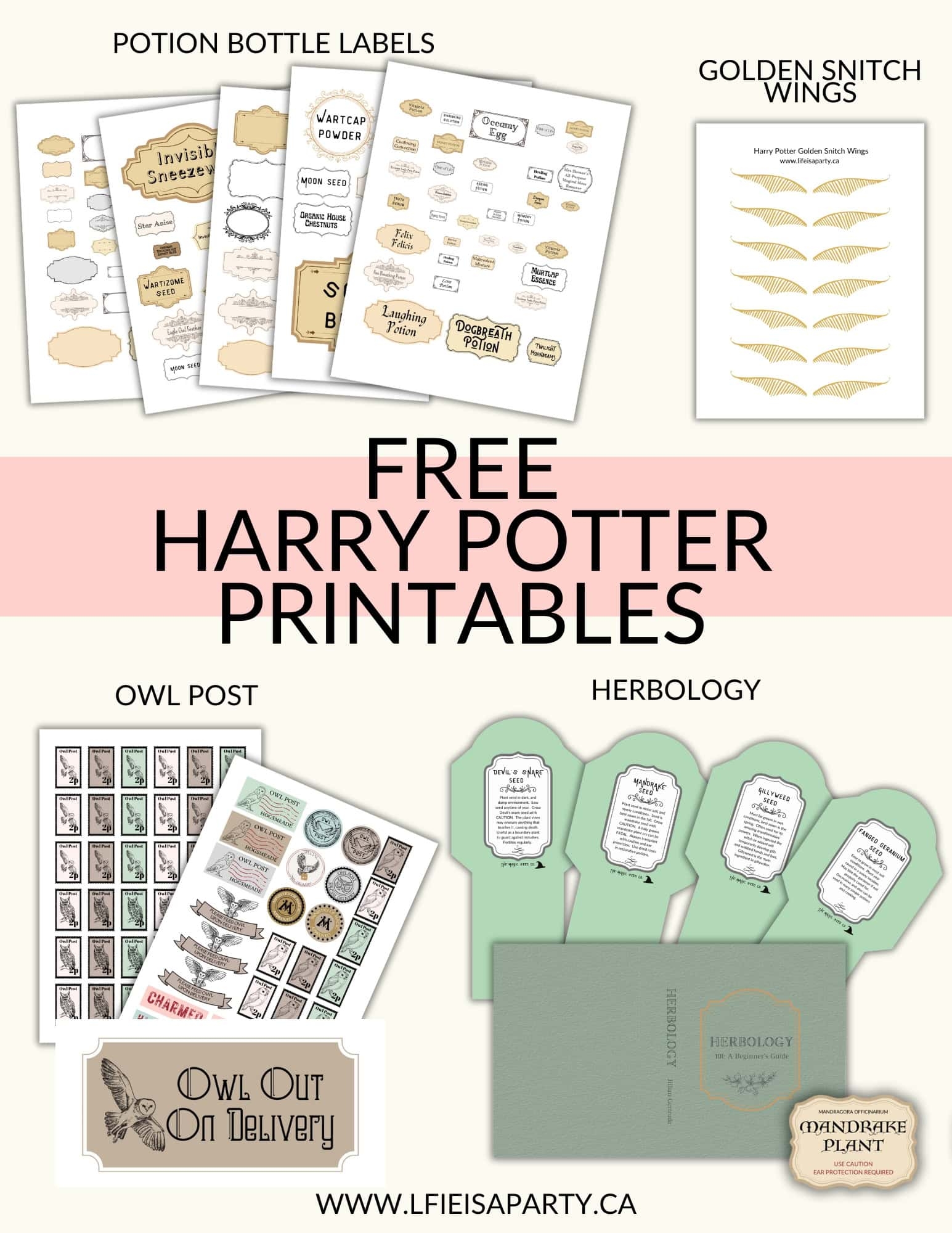 Harry Potter DIY Decor And Free Printables Life Is A Party