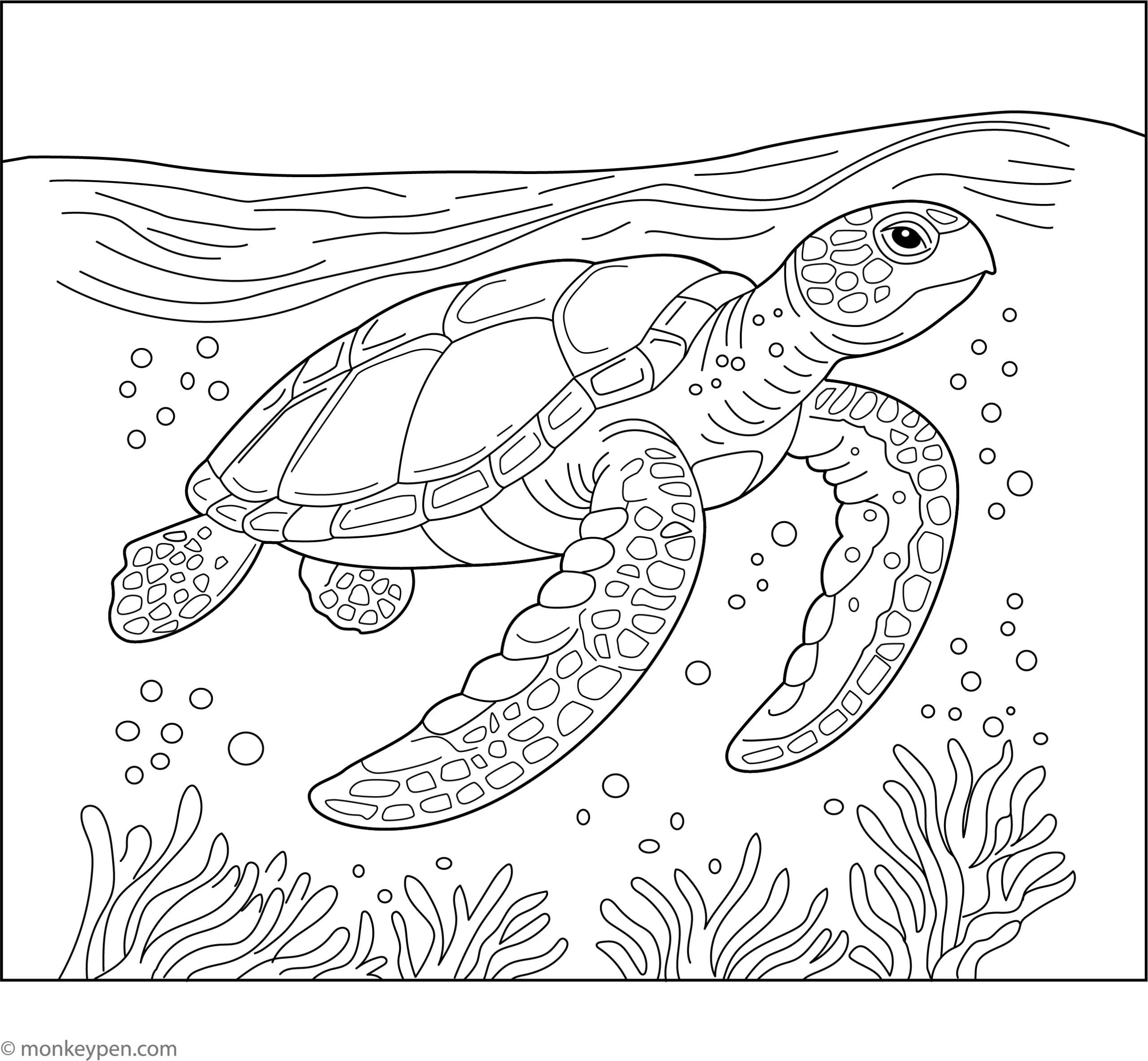 Turtle Coloring Pages Printable
