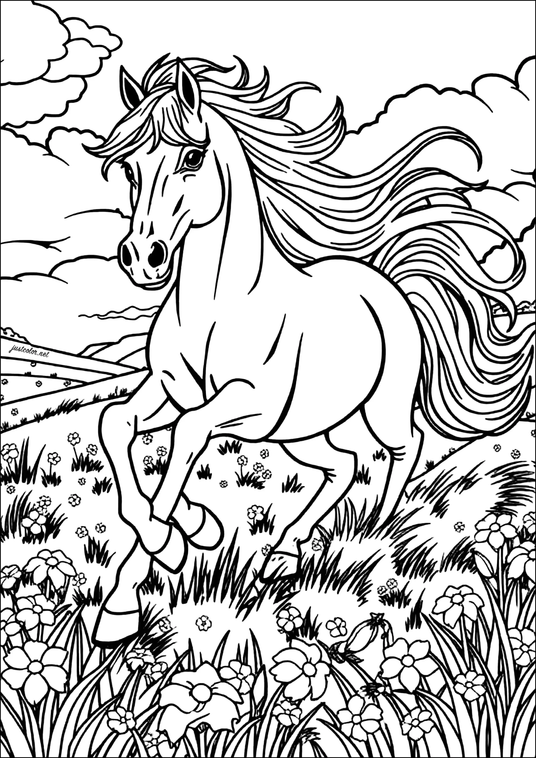 Printable Horse Colouring Pages