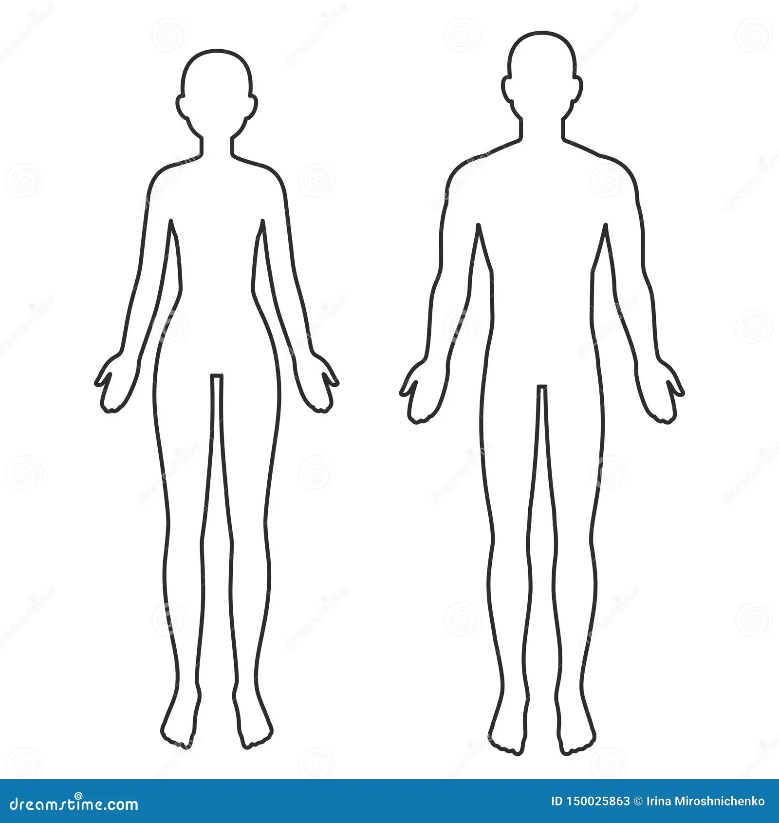 Male And Female Body Outline Stock Vector Illustration Of 