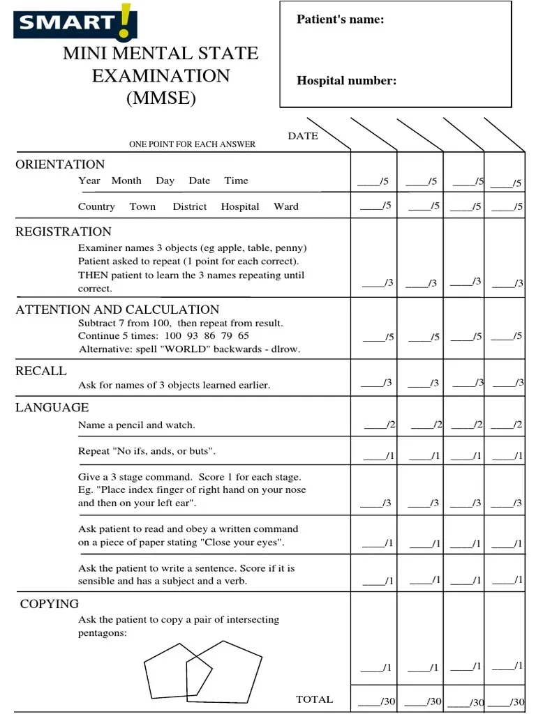 Mini Mental State Exam PDF PDF