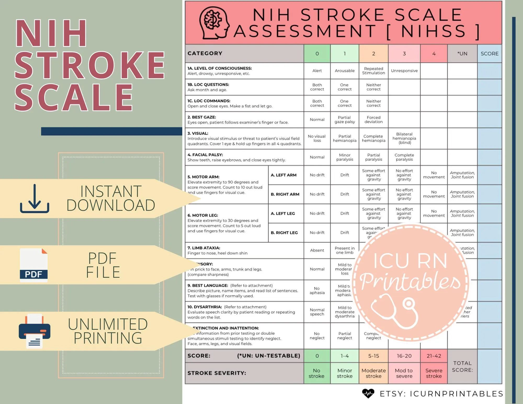 NIH Stroke Scale Assessment Form NIHSS Printable PDF 