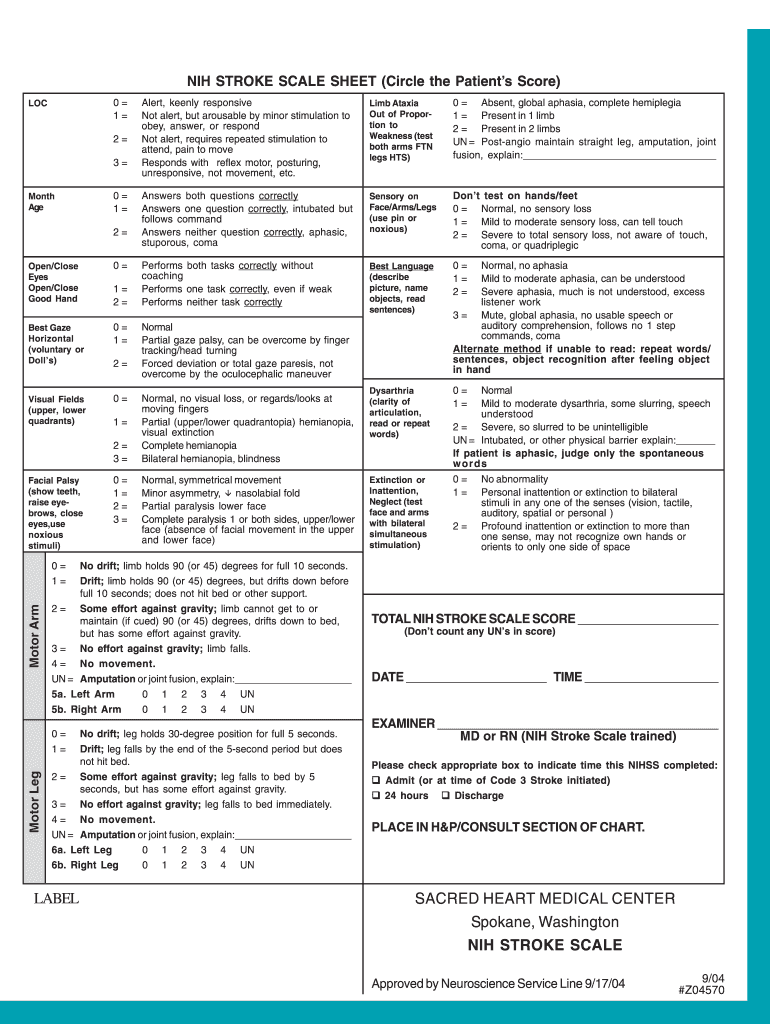 Nih Stroke Scale Pdf Fill Out amp Sign Online DocHub