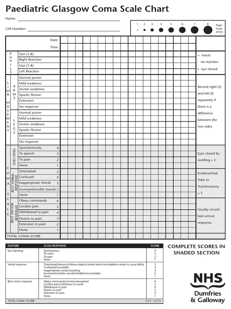 Paediatric GCS Chart PDF Self Improvement
