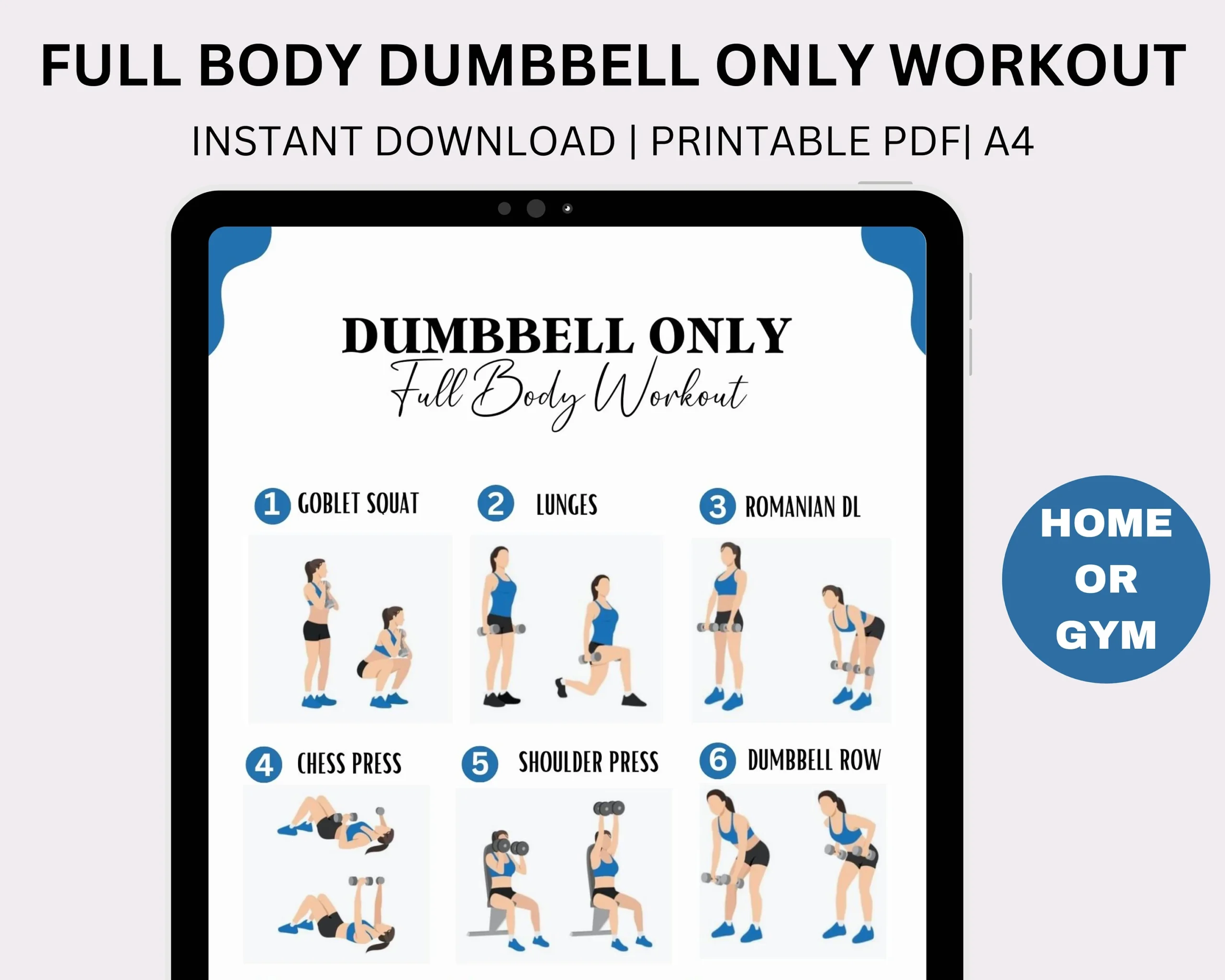 Pdf Dumbbell Workout Plan Printable Dumbbell Upper Body Dumbbell 
