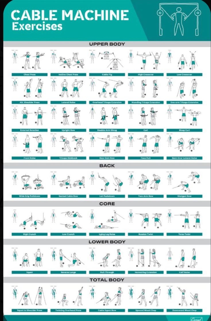 Pin By Frank Verdi On Cable Exercise Gym Workout Chart Gym 