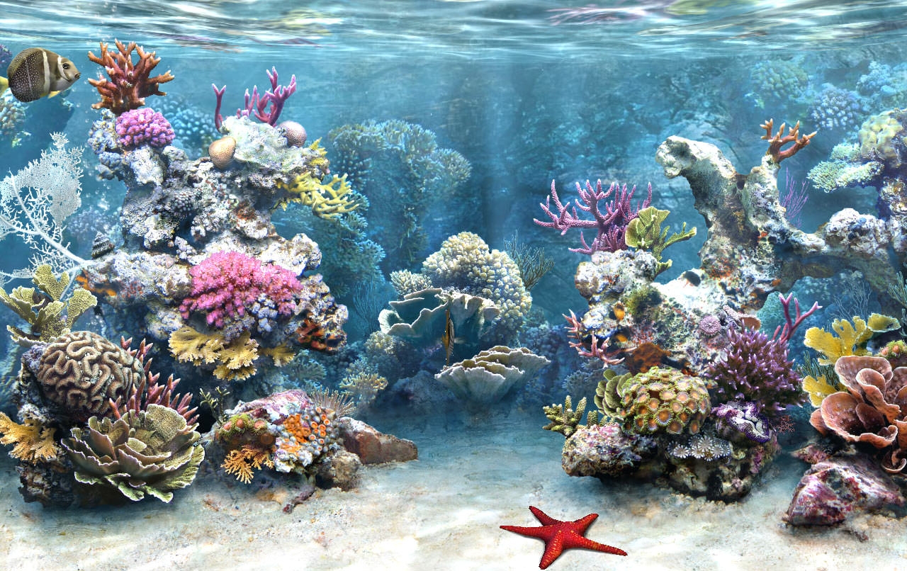Printable Fish Tank Background